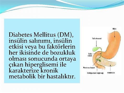 Beslenmenin diabetes mellitus oluşumuna etkisi